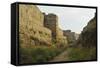 City Walls of Old Town, Rhodes City, Rhodes, Dodecanese, Greek Islands, Greece, Europe-Jochen Schlenker-Framed Stretched Canvas