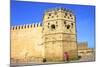 City Walls, Oudaia Kasbah, Rabat, Morocco, North Africa, Africa-Neil Farrin-Mounted Photographic Print