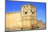 City Walls, Oudaia Kasbah, Rabat, Morocco, North Africa, Africa-Neil Farrin-Mounted Photographic Print