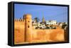 City Walls, Oudaia Kasbah, Rabat, Morocco, North Africa-Neil Farrin-Framed Stretched Canvas