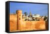 City Walls, Oudaia Kasbah, Rabat, Morocco, North Africa-Neil Farrin-Framed Stretched Canvas