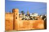 City Walls, Oudaia Kasbah, Rabat, Morocco, North Africa-Neil Farrin-Mounted Photographic Print
