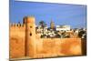 City Walls, Oudaia Kasbah, Rabat, Morocco, North Africa-Neil Farrin-Mounted Photographic Print