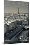 City with Eiffel Tower in the Background Viewed from Notre Dame Cathedral, Paris, Ile-De-France-null-Mounted Premium Photographic Print