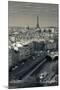 City with Eiffel Tower in the Background Viewed from Notre Dame Cathedral, Paris, Ile-De-France-null-Mounted Premium Photographic Print