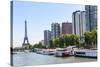 Cityscape and Eiffel tower, Paris, France, Europe-Lisa Engelbrecht-Stretched Canvas