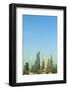 Cityscape, Dubai-Fraser Hall-Framed Photographic Print
