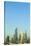 Cityscape, Dubai-Fraser Hall-Stretched Canvas