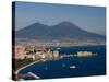 Cityscape Including Castel Dell Ovo and Mount Vesuvius, Naples, Campania, Italy, Europe-Charles Bowman-Stretched Canvas