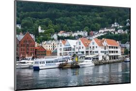 Cityscape of Bergen, Norway-Pavlo Kolotenko-Mounted Photographic Print