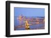 Cityscape of  Budapest, Hungary-neirfy-Framed Photographic Print