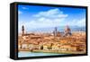 Cityscape of Florence-SerrNovik-Framed Stretched Canvas