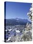 Cityscape of Garmisch-Partenkirchen, Werdenfelser Land, Bavaria, Germany-Katja Kreder-Stretched Canvas
