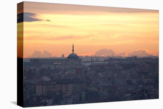 Cityscape of Istanbul at Sunset-Alex Saberi-Stretched Canvas