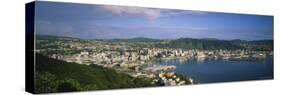 Cityscape of Wellington, New Zealand-null-Stretched Canvas