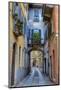 Cityscape. Orta San Giulio. Piedmont, Italy-Tom Norring-Mounted Photographic Print