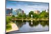 Cityscape Scene of Downtown Huntsville Alabama from Big Spring Park-Rob Hainer-Mounted Photographic Print