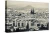 Cityscape with Cathedrale Notre-Dame-De-L'Assomption in the Background, Clermont-Ferrand-null-Stretched Canvas