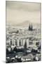 Cityscape with Cathedrale Notre-Dame-De-L'Assomption in the Background, Clermont-Ferrand-null-Mounted Photographic Print