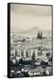 Cityscape with Cathedrale Notre-Dame-De-L'Assomption in the Background, Clermont-Ferrand-null-Framed Stretched Canvas