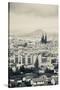 Cityscape with Cathedrale Notre-Dame-De-L'Assomption in the Background, Clermont-Ferrand-null-Stretched Canvas