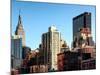 Cityscape with the Empire State Building and the New Yorker Hotel-Philippe Hugonnard-Mounted Photographic Print