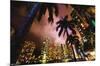 Cityscapes - Miami, Florida-Trends International-Mounted Poster