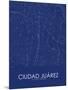 Ciudad Juarez, Mexico Blue Map-null-Mounted Poster