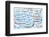 Civil Aircraft-null-Framed Premium Giclee Print