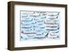 Civil Aircraft-null-Framed Premium Giclee Print