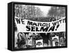 Civil Rights, Marchers Carrying Banner "We March with Selma!", Harlem, New York City, 1965-null-Framed Stretched Canvas