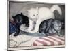 Civil War: Cartoon, c1865-null-Mounted Giclee Print