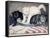 Civil War: Cartoon, c1865-null-Framed Stretched Canvas