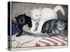 Civil War: Cartoon, c1865-null-Stretched Canvas