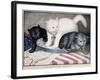 Civil War: Cartoon, c1865-null-Framed Giclee Print