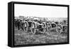 Civil War: Parrott Guns-James F. Gibson-Framed Stretched Canvas