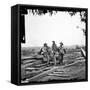 Civil War: Prisoners, 1863-null-Framed Stretched Canvas