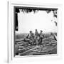 Civil War: Prisoners, 1863-null-Framed Photographic Print