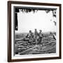 Civil War: Prisoners, 1863-null-Framed Photographic Print