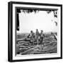 Civil War: Prisoners, 1863-null-Framed Photographic Print