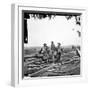 Civil War: Prisoners, 1863-null-Framed Photographic Print