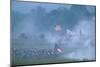 Civil War; Reenactment; Manassas; Jthg; Virginia, 2006 (Photo)-Kenneth Garrett-Mounted Giclee Print