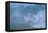 Civil War; Reenactment; Manassas; Jthg; Virginia, 2006 (Photo)-Kenneth Garrett-Framed Stretched Canvas