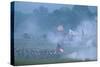 Civil War; Reenactment; Manassas; Jthg; Virginia, 2006 (Photo)-Kenneth Garrett-Stretched Canvas