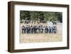 Civil War Soldiers Shooting -Re-Enactment-Sheila Haddad-Framed Photographic Print