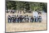 Civil War Soldiers Shooting -Re-Enactment-Sheila Haddad-Mounted Photographic Print