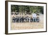 Civil War Soldiers Shooting -Re-Enactment-Sheila Haddad-Framed Photographic Print