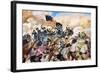 Civil War: Vicksburg, 1863-Hugh Charles McBarron-Framed Giclee Print