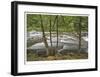 Clackamas River I-Donald Paulson-Framed Giclee Print