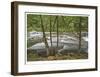Clackamas River I-Donald Paulson-Framed Giclee Print